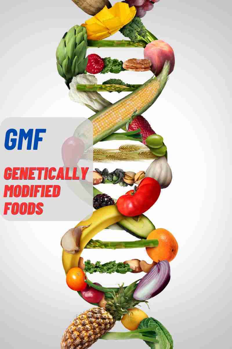 غذاهای تراریخته