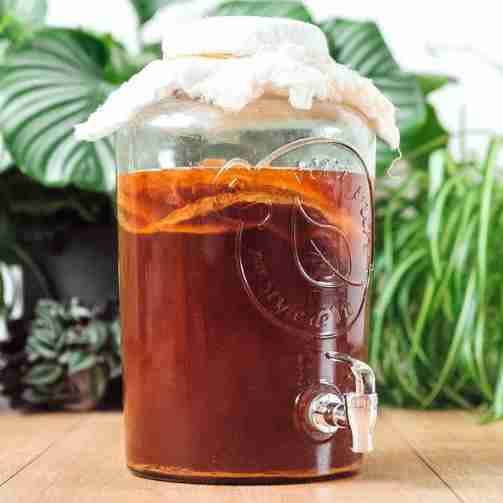 نوشیدنی کامبوجا