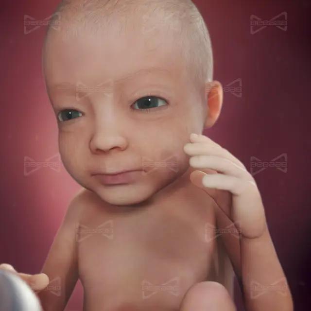 بياب صحة | الأسبوع 27 من الحمل |  السابع والعشرون | دليل كامل