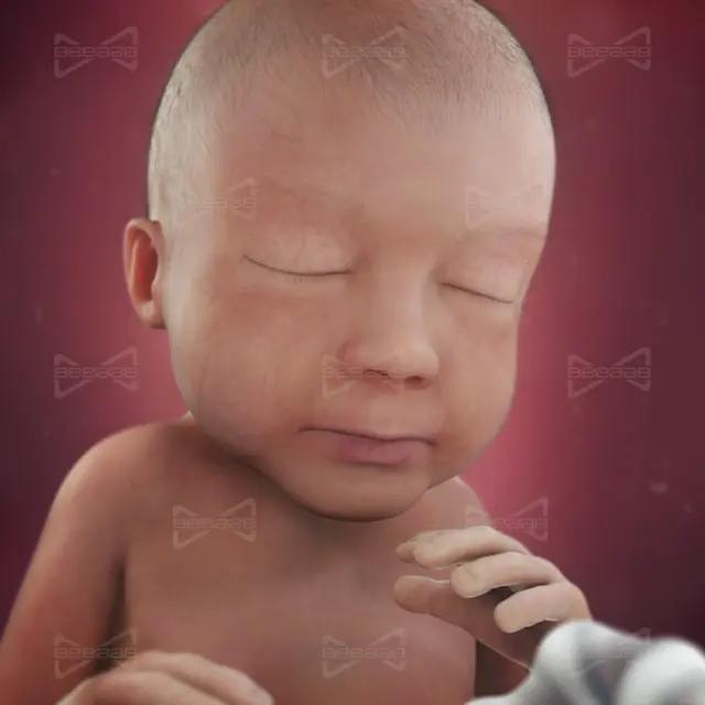 بیاب سلامت | هفته 28 بارداری | بیست و هشتم | راهنمای کامل