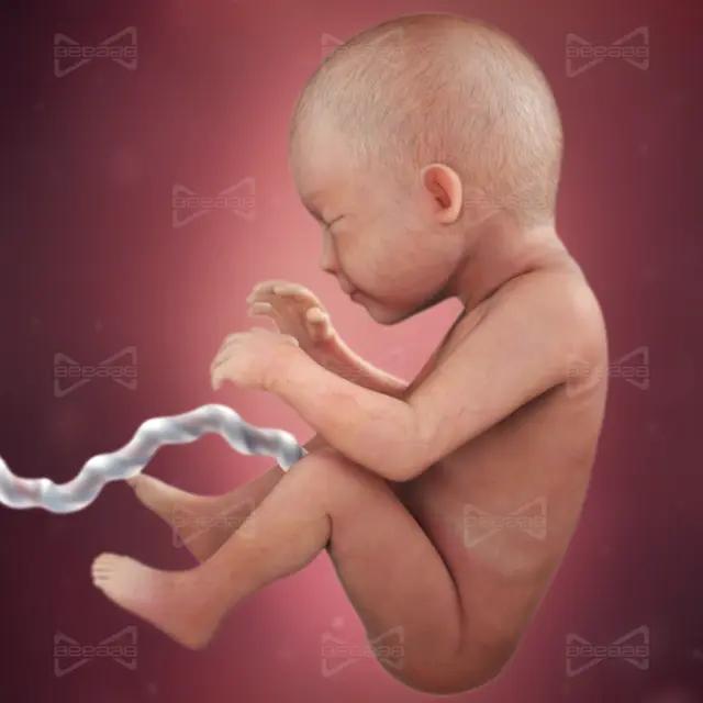 بیاب سلامت | هفته 29 بارداری | بیست و نهم | راهنمای کامل