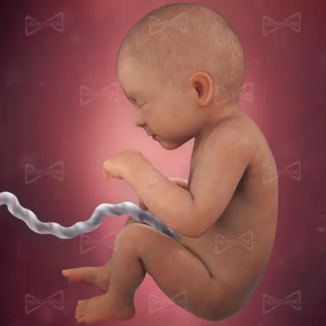 بیاب سلامت | هفته 33 بارداری  سی و سوم | راهنمای کامل