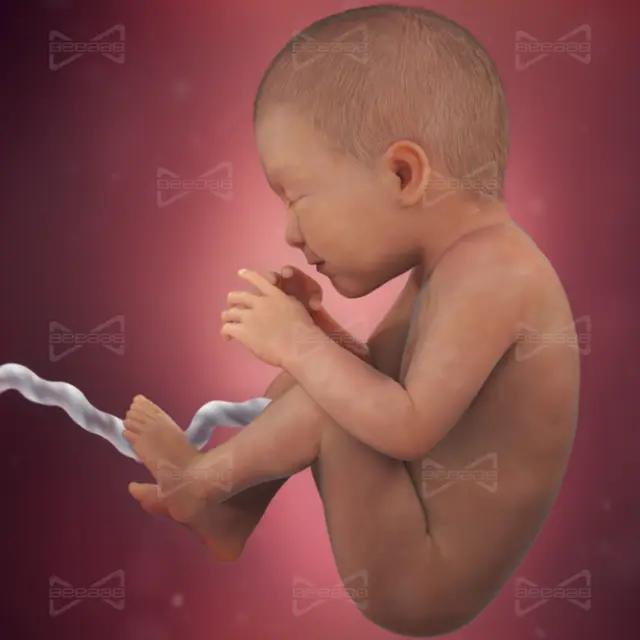 BeeaaB Salute | Settimana 35 di Gravidanza | Guida Completa