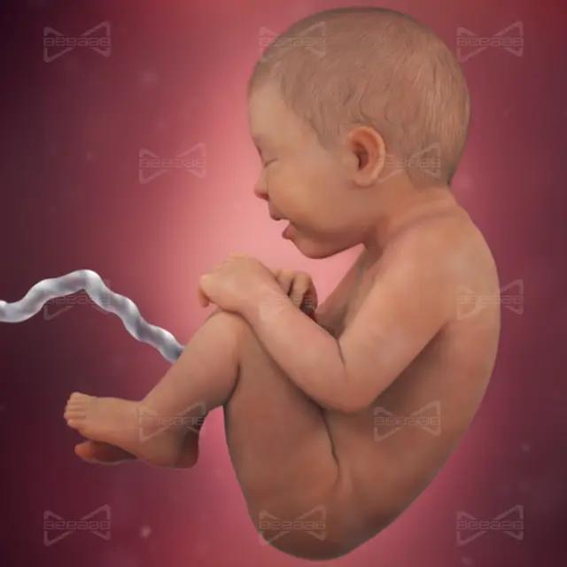 بیاب سلامت | هفته 36 بارداری  سی و ششم | راهنمای کامل