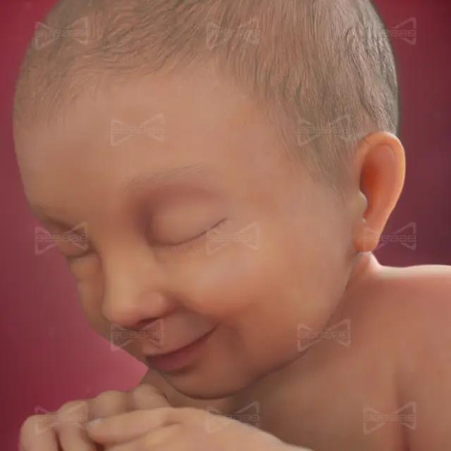 بیاب سلامت | هفته 37 بارداری سی و هفتم | راهنمای کامل