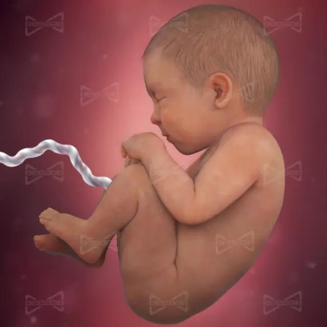 بیاب سلامت | هفته 39 بارداری  سی و نهم | راهنمای کامل