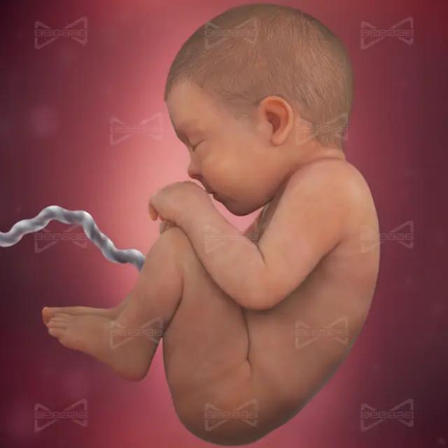 بياب صحة | الأسبوع 42 من الحمل |  الثاني والأربعون | دليل كامل