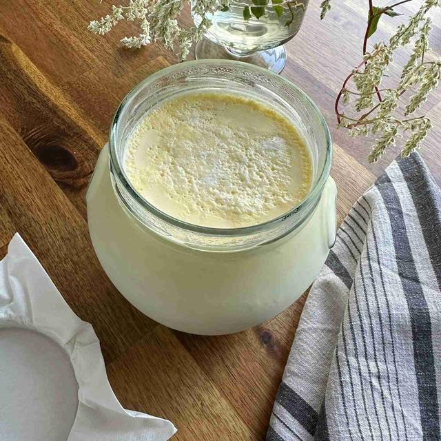 Homemade Yogurt