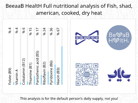BeeaaB HealtH Analisi nutrizionale completa di Salmone cotto al forno
