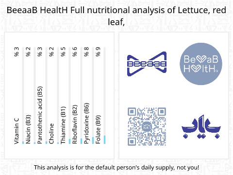 BeeaaB HealtH Analisi nutrizionale completa di Lattuga foglia rossa cruda