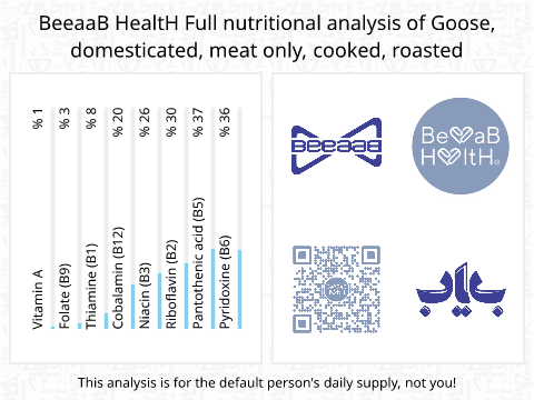 BeeaaB HealtH Analisi nutrizionale completa di Carne di oca alla griglia