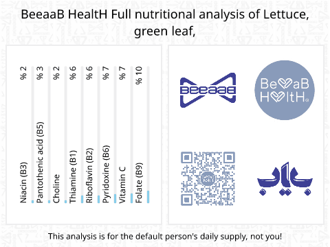 BeeaaB HealtH Analisi nutrizionale completa di Lattuga foglia verde cruda