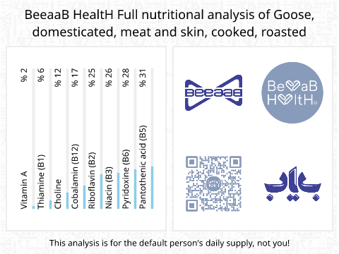 BeeaaB HealtH Analisi nutrizionale completa di Oca con pelle alla griglia