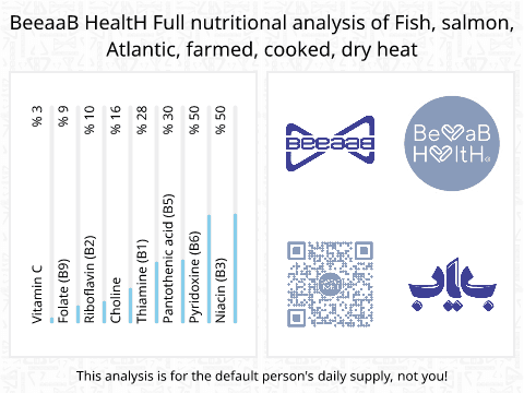 BeeaaB HealtH Analisi nutrizionale completa di Salmone coltivato cotto a secco