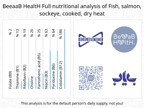 BeeaaB HealtH Analisi nutrizionale completa di Salmone con carne rossa cotto a secco