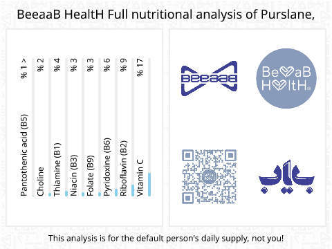 BeeaaB HealtH Analisi nutrizionale completa di Cetriolo crudo