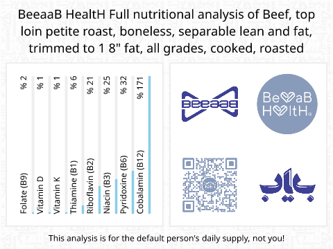 BeeaaB HealtH Analisi nutrizionale completa di Shami kebab di manzo con grasso