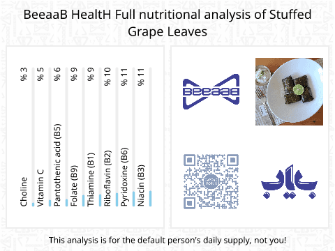 BeeaaB HealtH nutritional analysis of Stuffed Grape Leaves