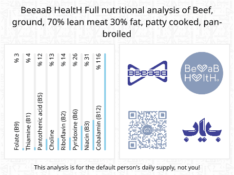 BeeaaB HealtH nutritional analysis of Beef, ground, 70% lean meat 30% fat, patty cooked, pan-broiled
