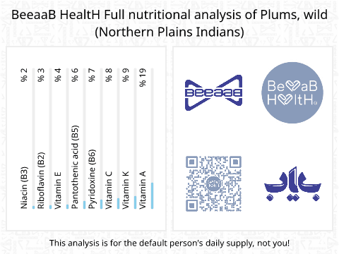 BeeaaB HealtH nutritional analysis of Plums, wild (Northern Plains Indians)