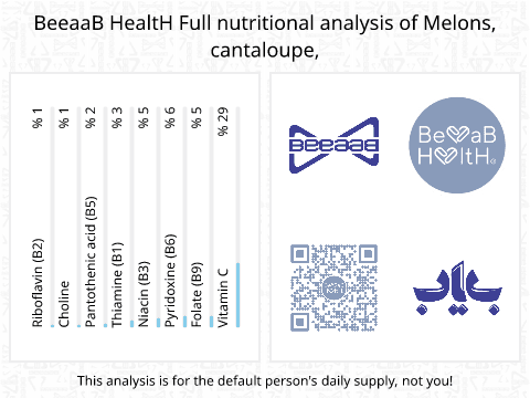 BeeaaB HealtH nutritional analysis of Melons, cantaloupe,