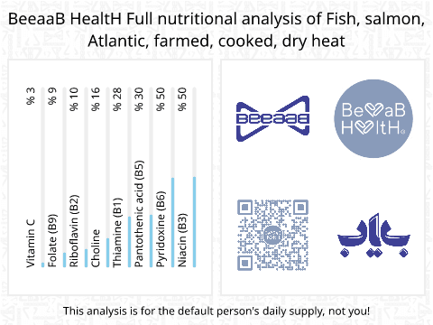 BeeaaB HealtH Analisi nutrizionale completa di Salmone coltivato cotto a secco