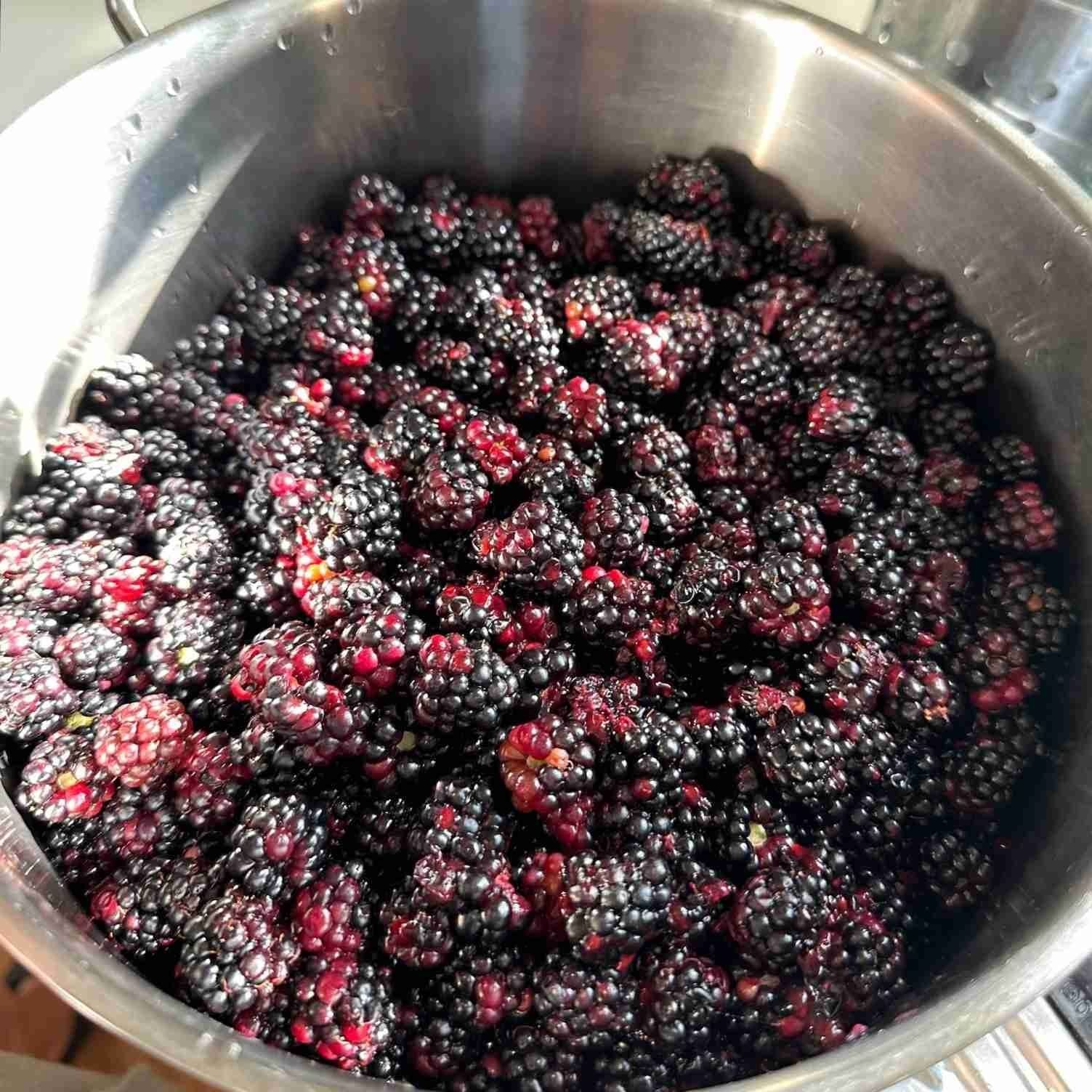 Raspberry Preparation